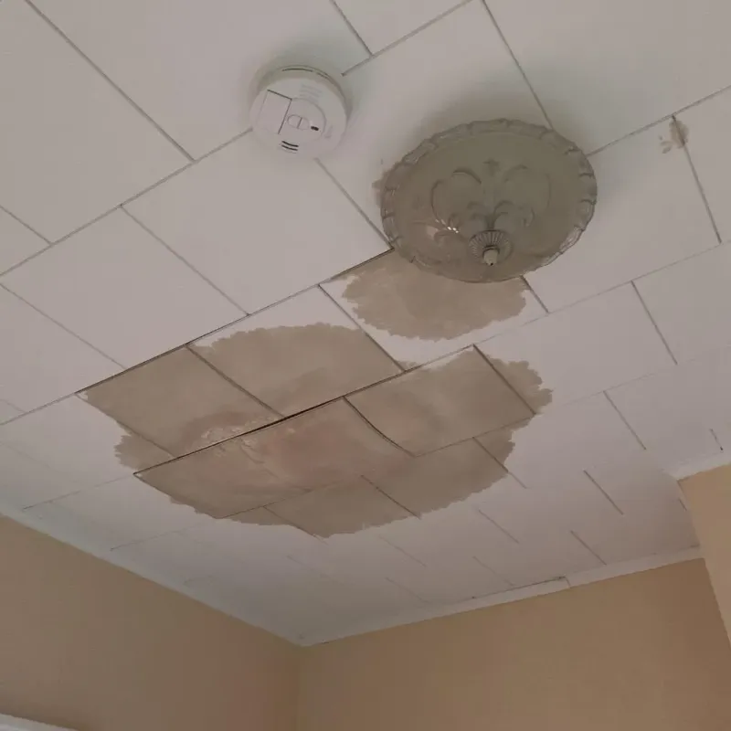 Ceiling Water Damage Repair in Kaufman County, TX