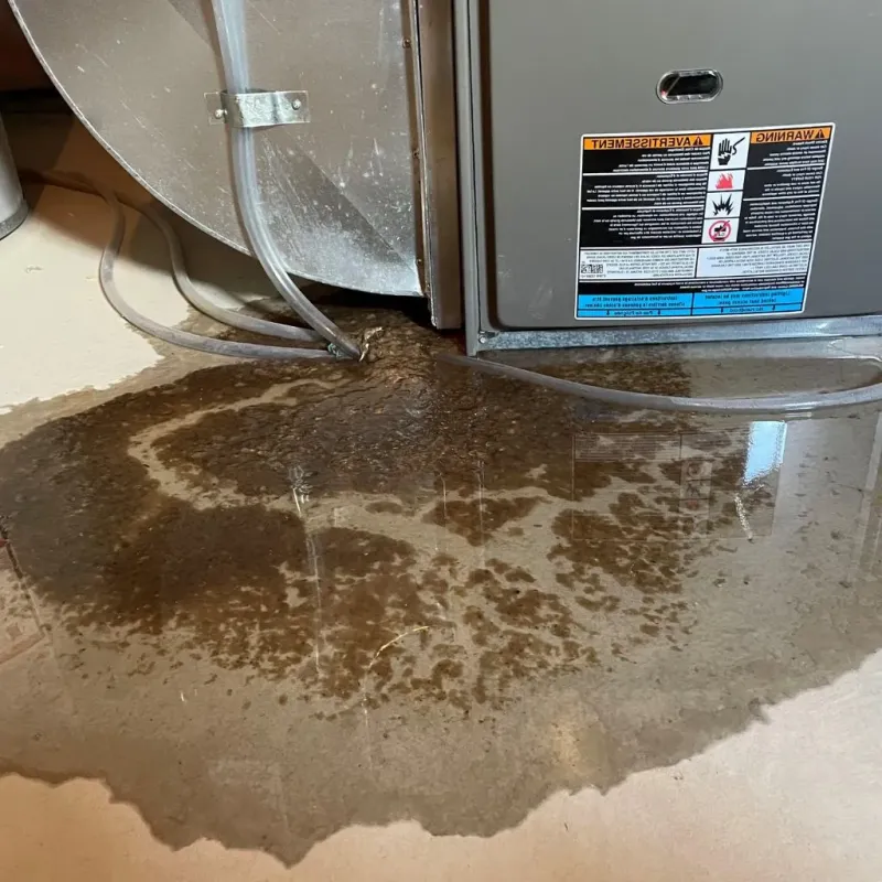 Pipe Burst and Leak Restoration in Kaufman County, TX