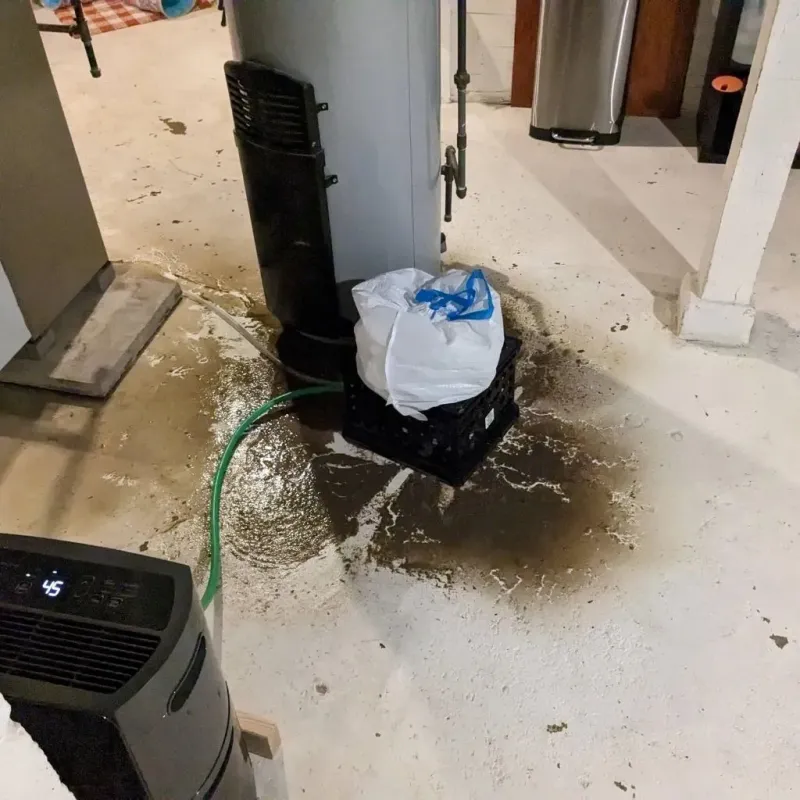 Sewage Backup Cleanup Service in Kaufman County, TX
